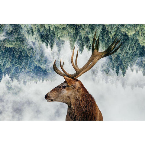 The Deer and the woods Black Modern Wood Framed Art Print with Double Matting by Beata, Angyalosi