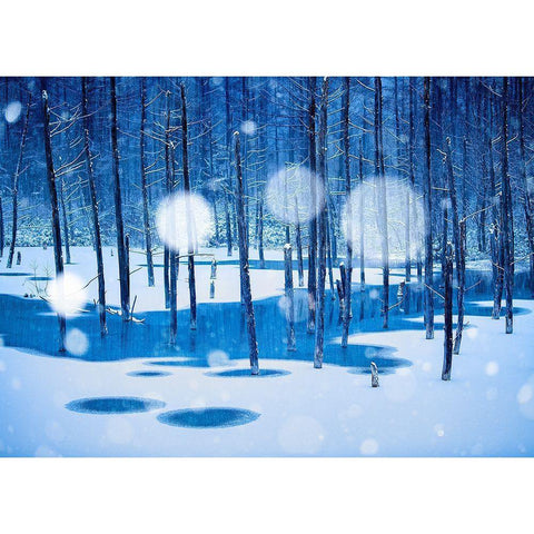 Fairyland White Modern Wood Framed Art Print by Sono, Hidenori