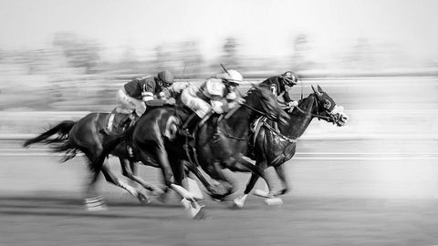 Horse Racing at Queens Plate White Modern Wood Framed Art Print with Double Matting by little7