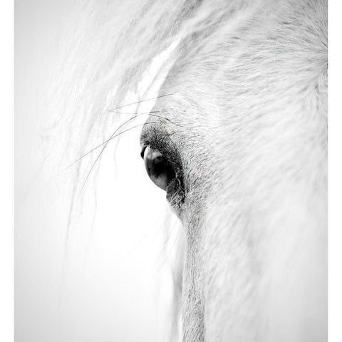 Horse Eye White Modern Wood Framed Art Print by Zhao, Alex