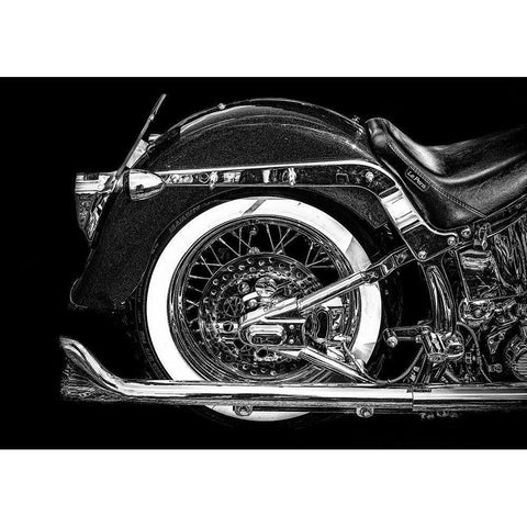 Harley White Modern Wood Framed Art Print by Philippe, Laruelle