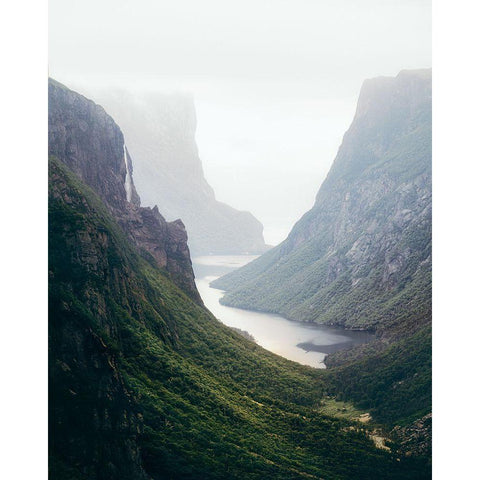 Newfoundland Fjord Gold Ornate Wood Framed Art Print with Double Matting by Fazaeli, David