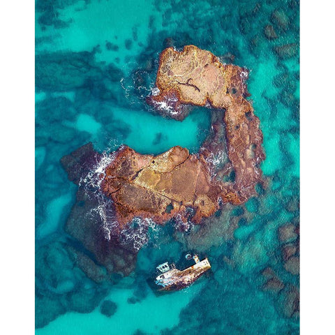 The Power of Nature Gold Ornate Wood Framed Art Print with Double Matting by Topaz, Gilad