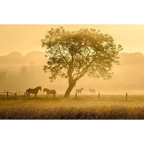 Golden Horses Gold Ornate Wood Framed Art Print with Double Matting by Guijt, Richard