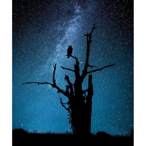 Alone in the dark Black Modern Wood Framed Art Print by Allicot, Manu