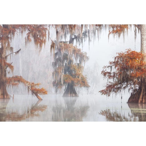 Mysty Bayou White Modern Wood Framed Art Print by Marchegiani, Roberto