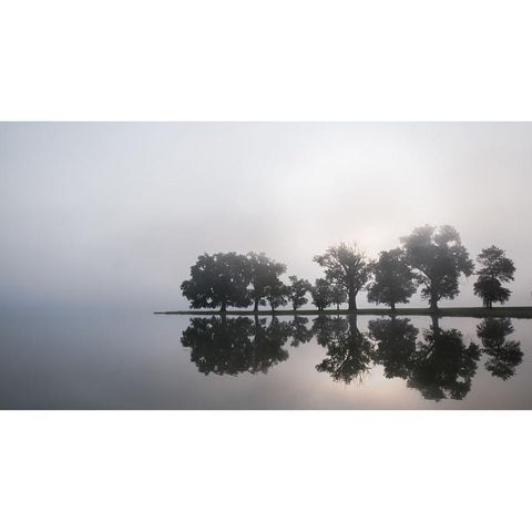 Before my coffee Black Modern Wood Framed Art Print with Double Matting by Linkhart, Andy