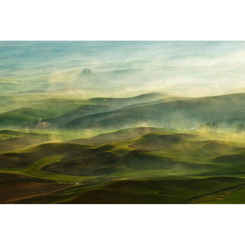 Golden Morning-Palouse Gold Ornate Wood Framed Art Print with Double Matting by Shen, Jikui