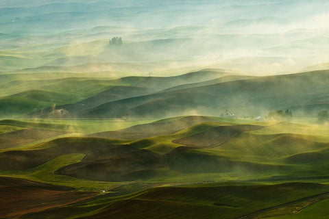 Golden Morning-Palouse White Modern Wood Framed Art Print with Double Matting by Shen, Jikui