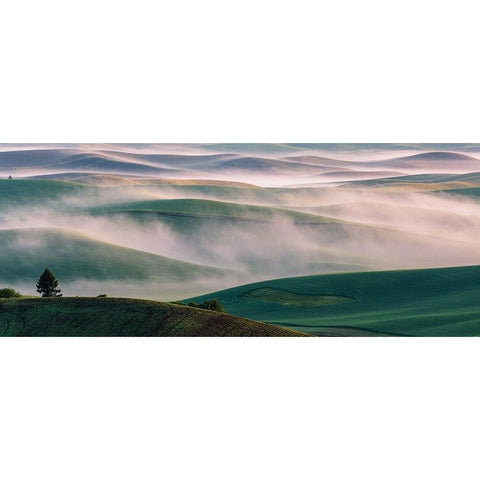 Dream Land in Morning Mist-1 Black Modern Wood Framed Art Print with Double Matting by Austin