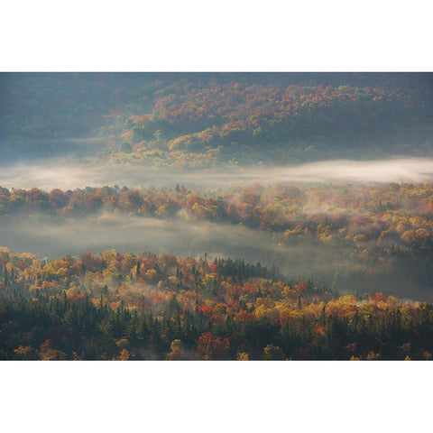 Misty Morning Gold Ornate Wood Framed Art Print with Double Matting by Austin