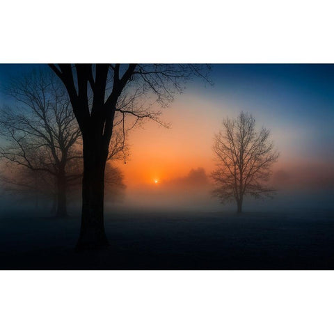 Foggy sunrise White Modern Wood Framed Art Print by Dai, Wei