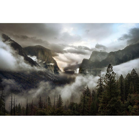 Upper Valley Morning Black Modern Wood Framed Art Print with Double Matting by Perlow, Gary