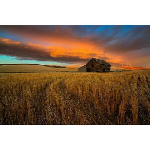 Storm over Palouse Black Modern Wood Framed Art Print with Double Matting by Fan, John