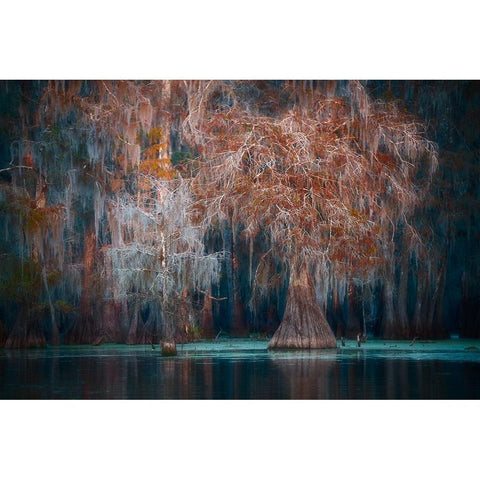 Louisiana White Modern Wood Framed Art Print by Marchegiani, Roberto