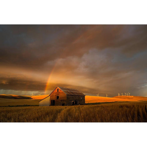 Witness of the Rainbow Gold Ornate Wood Framed Art Print with Double Matting by Fan, John