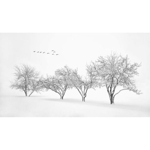 White World White Modern Wood Framed Art Print by Xu, Mei