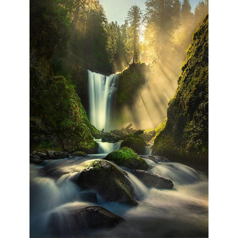 Misty Creek Falls Creek Gold Ornate Wood Framed Art Print with Double Matting by P, Ruiqing