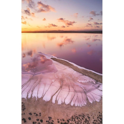 Pink lake White Modern Wood Framed Art Print by Carrillo Lopez, Antonio