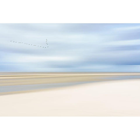 At the ocean III White Modern Wood Framed Art Print by Reichelt, Dieter