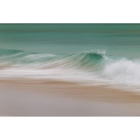 WAVE White Modern Wood Framed Art Print by Cavallo, Rico