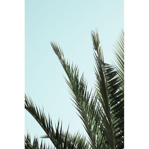 Palm leaves and sky 2 Black Modern Wood Framed Art Print with Double Matting by Artographie Studio