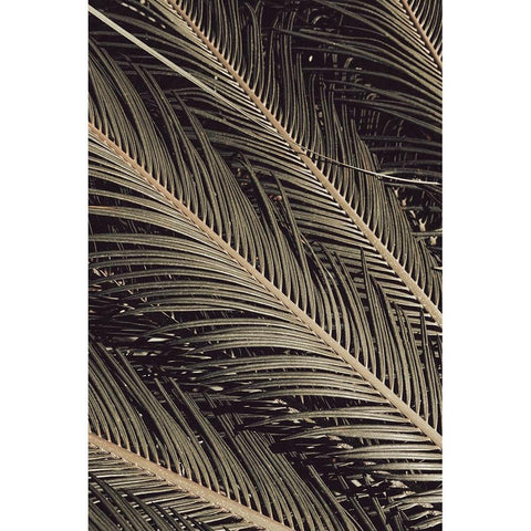 Palmblad 002 Gold Ornate Wood Framed Art Print with Double Matting by Artographie Studio