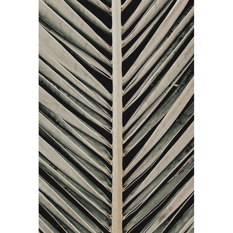 Palmblad 005 White Modern Wood Framed Art Print by Artographie Studio