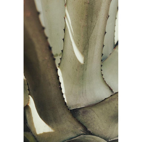 Agave 002 White Modern Wood Framed Art Print by Artographie Studio