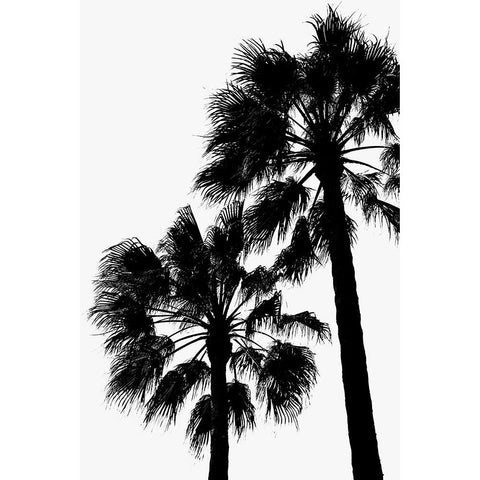 Palm Contrast White Modern Wood Framed Art Print by Artographie Studio