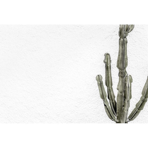 Cactus 004 Black Modern Wood Framed Art Print with Double Matting by Artographie Studio