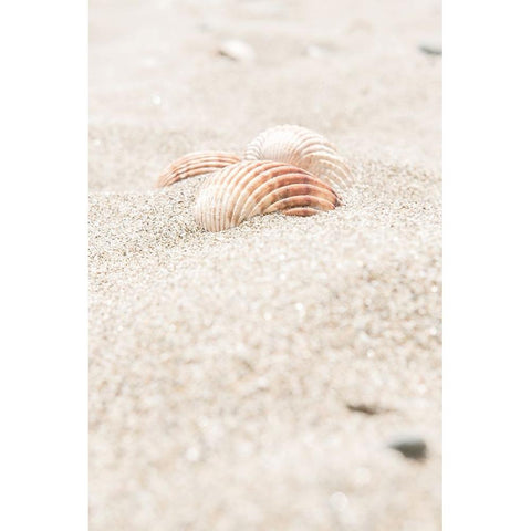 Beach 014 White Modern Wood Framed Art Print by Artographie Studio