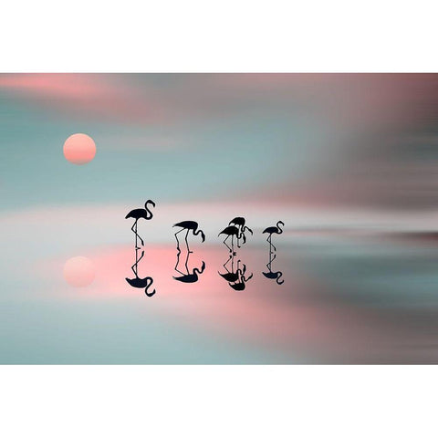 Family flamingos White Modern Wood Framed Art Print by Natalia