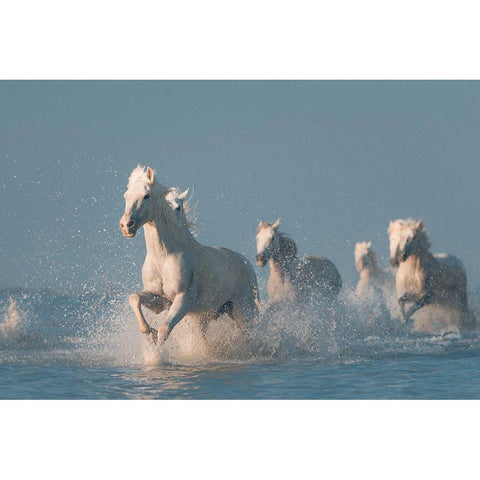 Angels of Camargue Gold Ornate Wood Framed Art Print with Double Matting by Anton, Rostovskiy