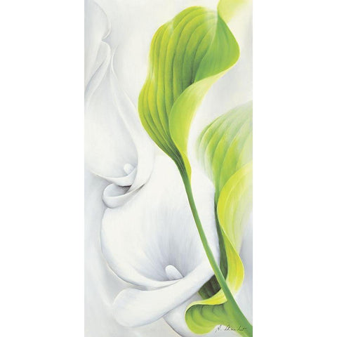 Calla II Gold Ornate Wood Framed Art Print with Double Matting by Schmucker, Annette