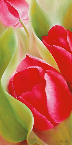 Tulpen I Black Ornate Wood Framed Art Print with Double Matting by Schmucker, Annette