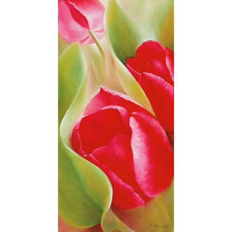 Tulpen I Black Modern Wood Framed Art Print by Schmucker, Annette