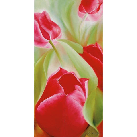 Tulpen II Gold Ornate Wood Framed Art Print with Double Matting by Schmucker, Annette