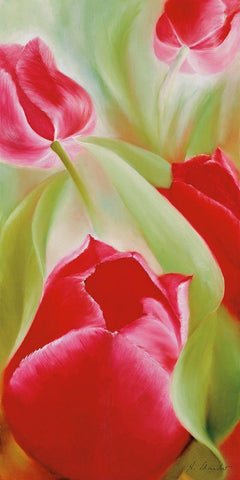 Tulpen II White Modern Wood Framed Art Print with Double Matting by Schmucker, Annette