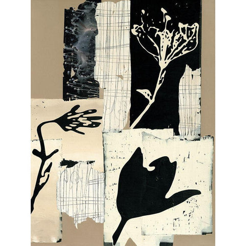 Arnica montana White Modern Wood Framed Art Print by Noiseux, Marie Madeleine