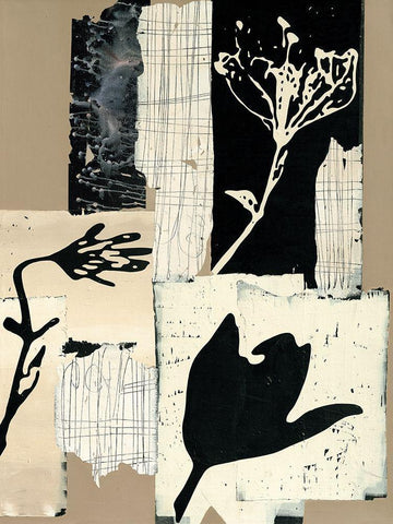 Arnica montana White Modern Wood Framed Art Print with Double Matting by Noiseux, Marie Madeleine