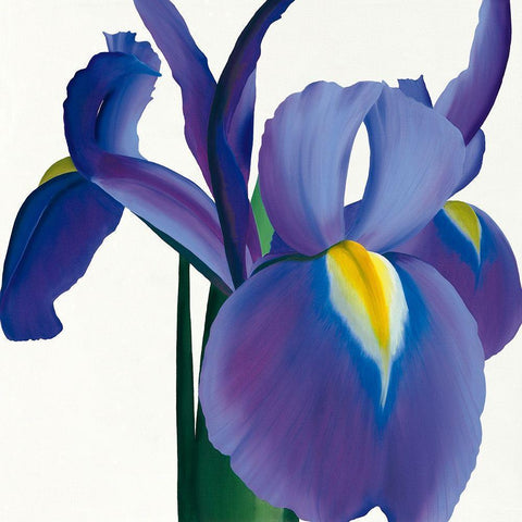 Iris Gold Ornate Wood Framed Art Print with Double Matting by Andrew, Stephanie