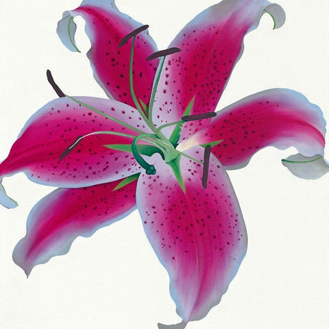 Lily White Modern Wood Framed Art Print with Double Matting by Andrew, Stephanie