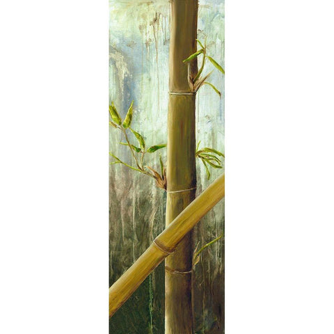 Rainforest I Black Modern Wood Framed Art Print with Double Matting by Haggenmacher, Maritta