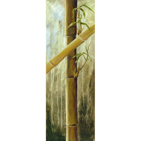 Rainforest II Black Modern Wood Framed Art Print with Double Matting by Haggenmacher, Maritta