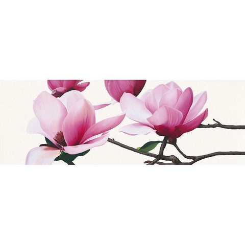 Apollo I (Magnolia) White Modern Wood Framed Art Print by Andrew, Stephanie