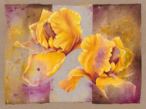 Iris White Modern Wood Framed Art Print with Double Matting by Cadoret, Virginie
