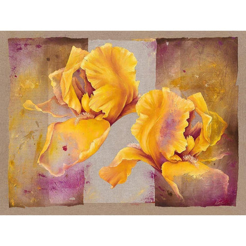 Iris Black Modern Wood Framed Art Print by Cadoret, Virginie