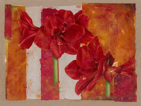 Amaryllis Black Ornate Wood Framed Art Print with Double Matting by Cadoret, Virginie
