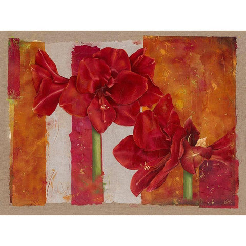 Amaryllis Black Modern Wood Framed Art Print by Cadoret, Virginie